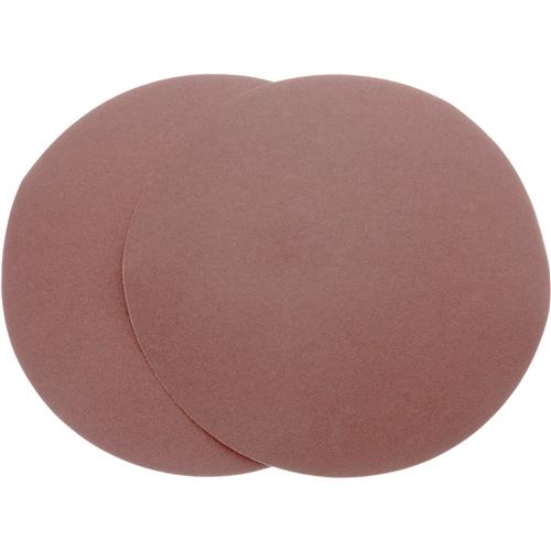 Image for Woodstock D1331 - 10" A/O Sanding Disc, 120 Grit PSA, 2 Pk.